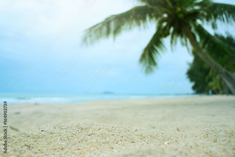 Blurred beach background with palm tree. Blurred beach background with palm tree.
