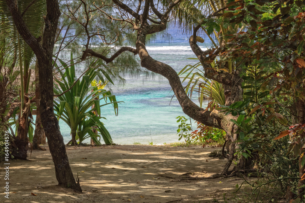 Path to the beach through lush tropical vegetation - Efate Island, Vanuatu - obrazy, fototapety, plakaty 