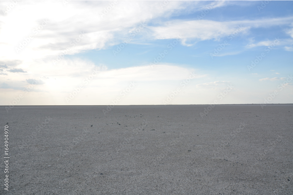 Salt flat in Nata Bird Sanctuary, Makgadikgadi pan, Botswana, Africa