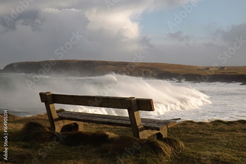 Bench with a view © shaun