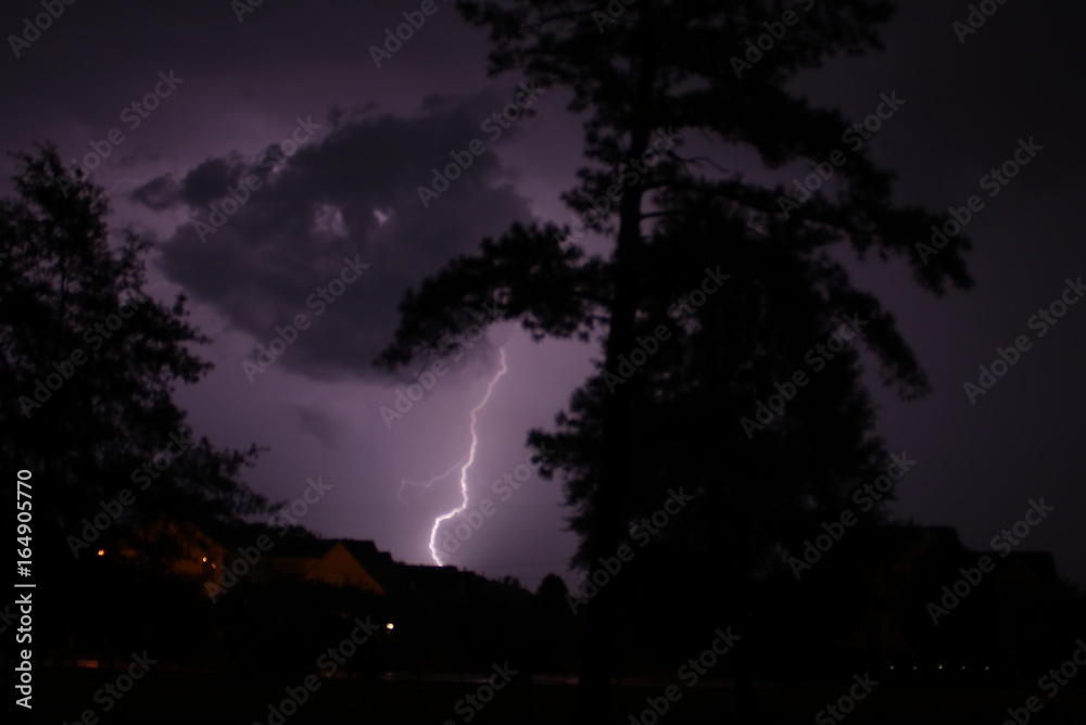 Fototapeta premium Tesla Trees