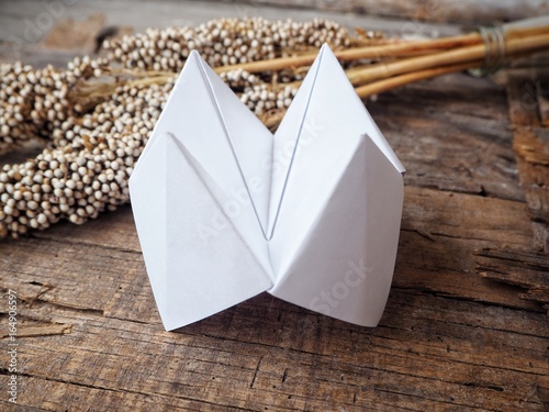 Paper fortune teller with dried flowers photo