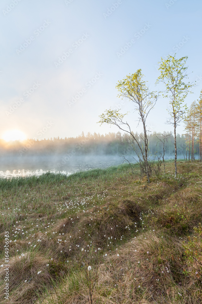 Small forest lake at sunrise