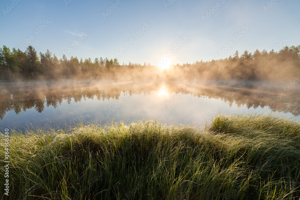 Small forest lake at sunrise