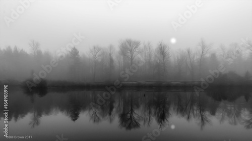 Foggy Morning © Bill