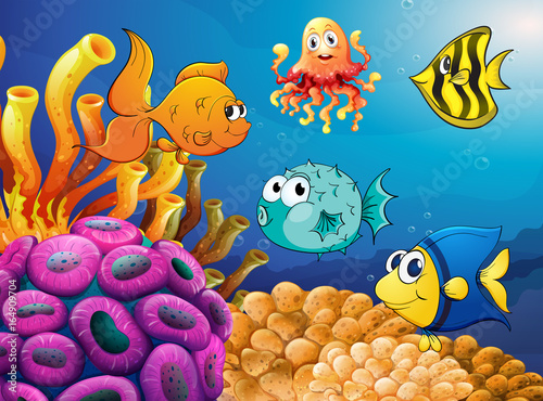 Sea animals swimming under the ocean