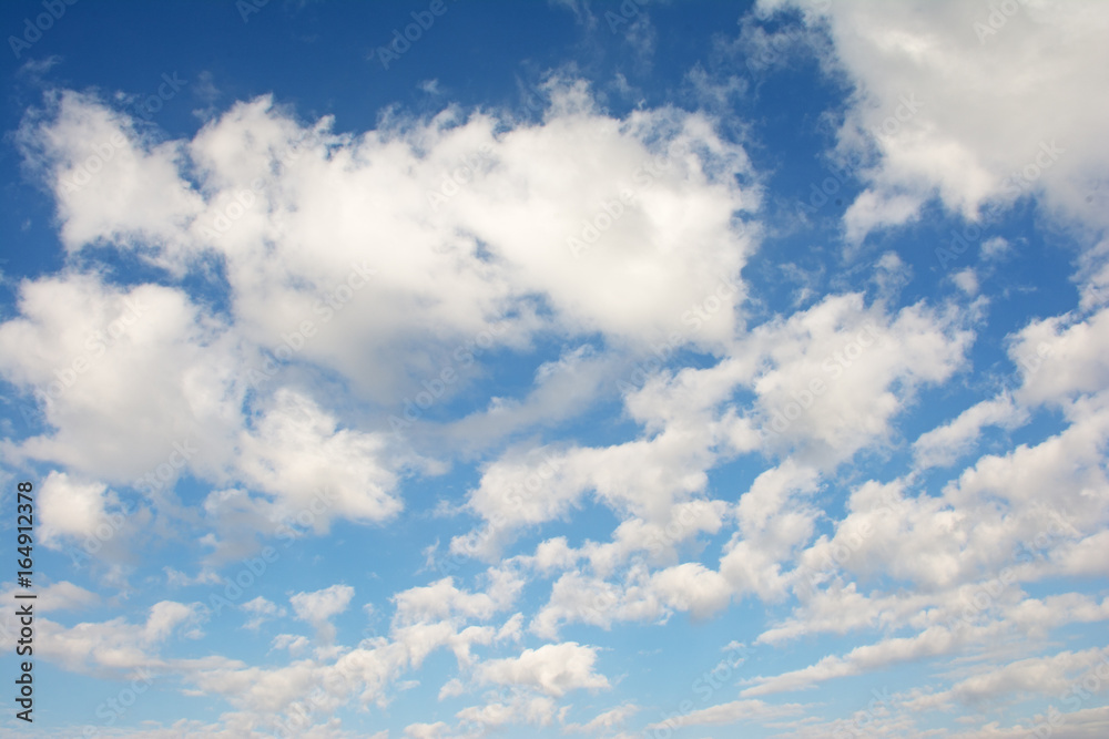 青空 たくさんの雲
青空 たくさんの雲