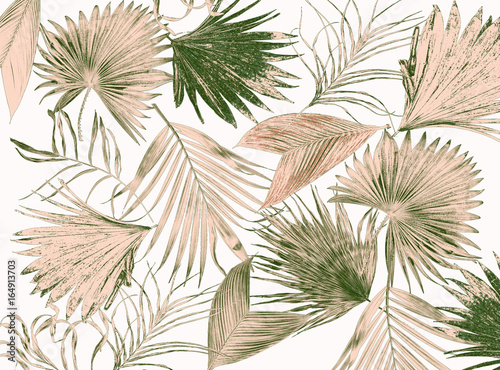 Fototapeta Naklejka Na Ścianę i Meble -  mix green leaves of palm tree on white background