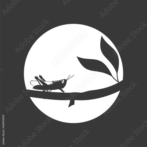 Grasshopper on a branch