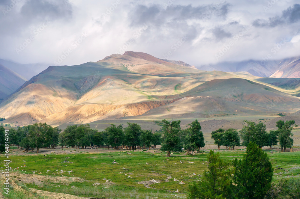 Obraz premium Sunset light pattern on hill top and slopes with cloudy sky in Altai
