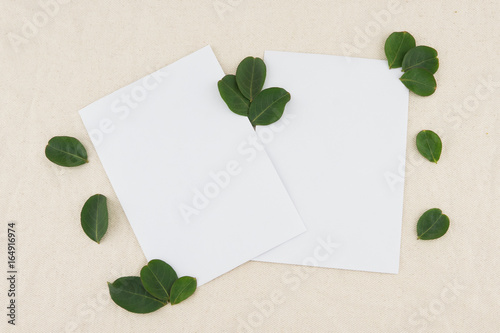 Two blank white cards decorated with green leaves