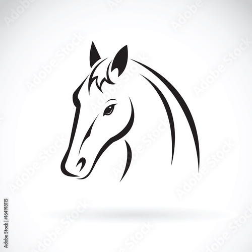 Fototapeta Naklejka Na Ścianę i Meble -  Vector of a horse head on white background. Wild Animal