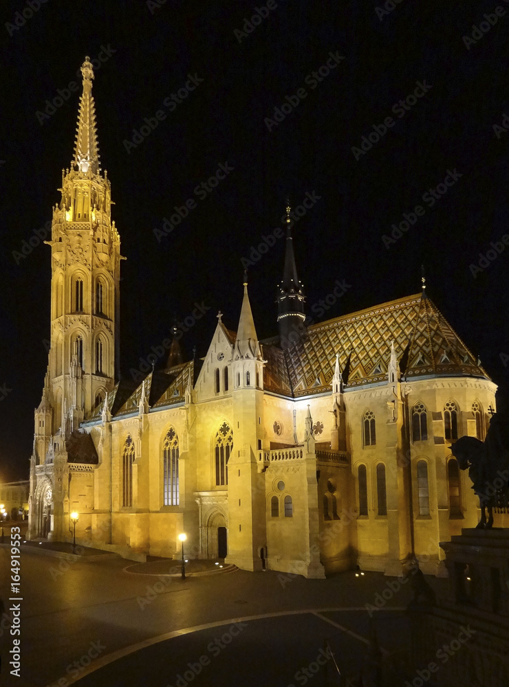 night scenery in Budapest