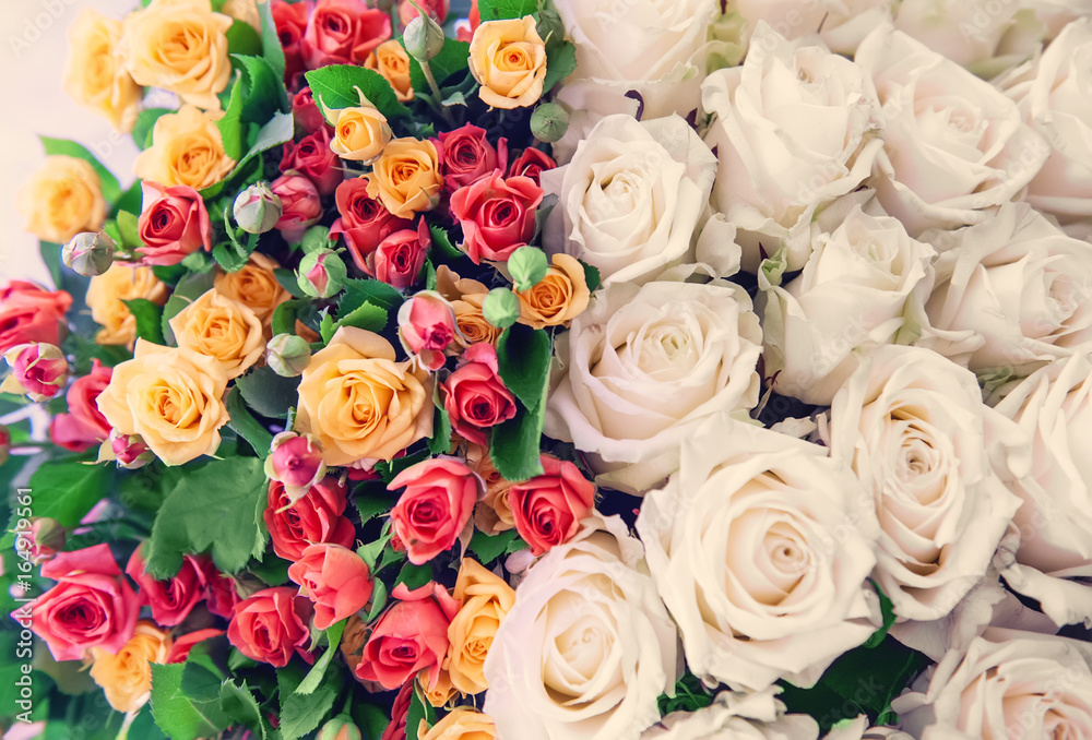 On the background of large white flowers rose and small colorful.Toned. Art. On the background of large white flowers rose and small colorful.Toned. Art.