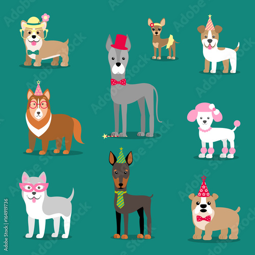 Holiday illustration for a party or birthday. Dogs in caps. Children's stylized picture.