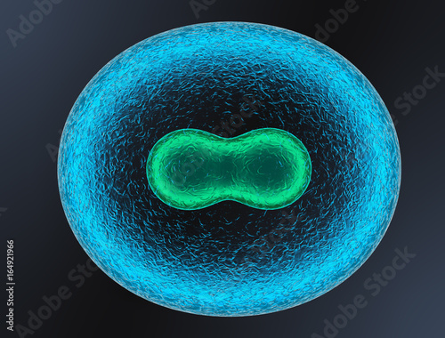 3D. Two Cell, embryo, Human Cell. and Cell division on a dark blue background. 3d render.