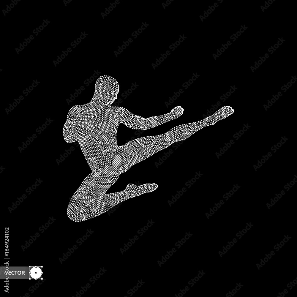Karate and kung fu. Karate jump kick. Fighter. 3d model of man. Sport symbol. Design element