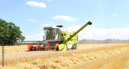 Harvesting machine harvesting wheat crops