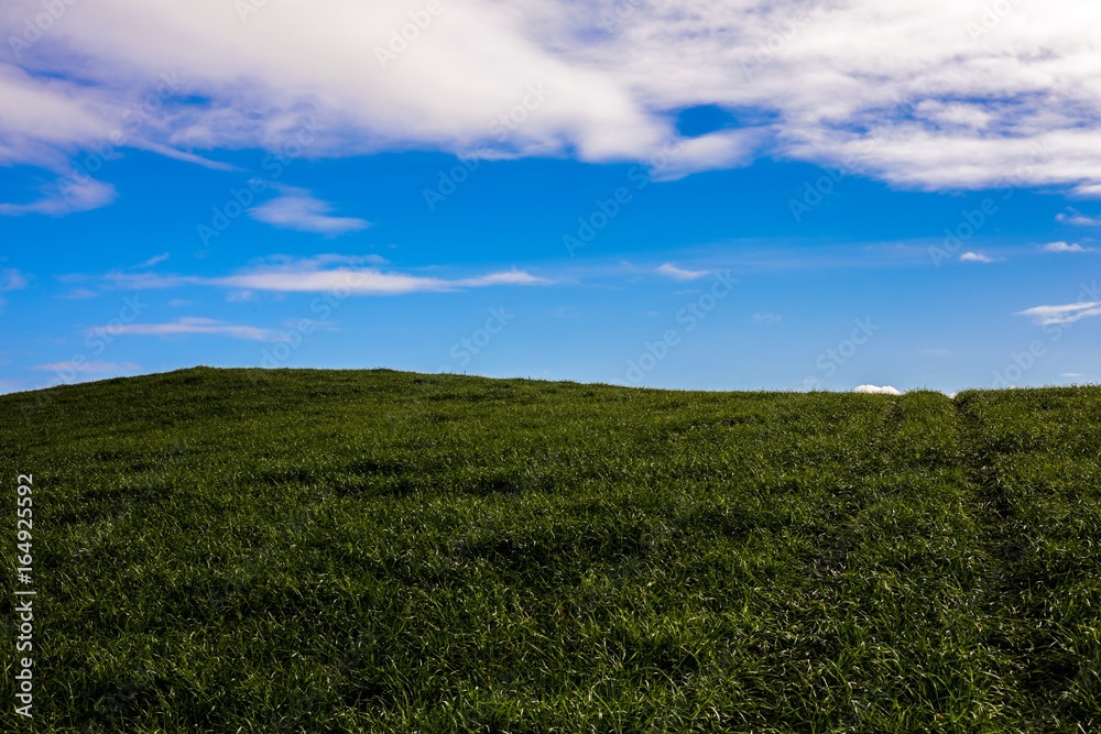 Lush green hill meets deep blue sky, half and half Lush green hill meets deep blue sky, half and half
