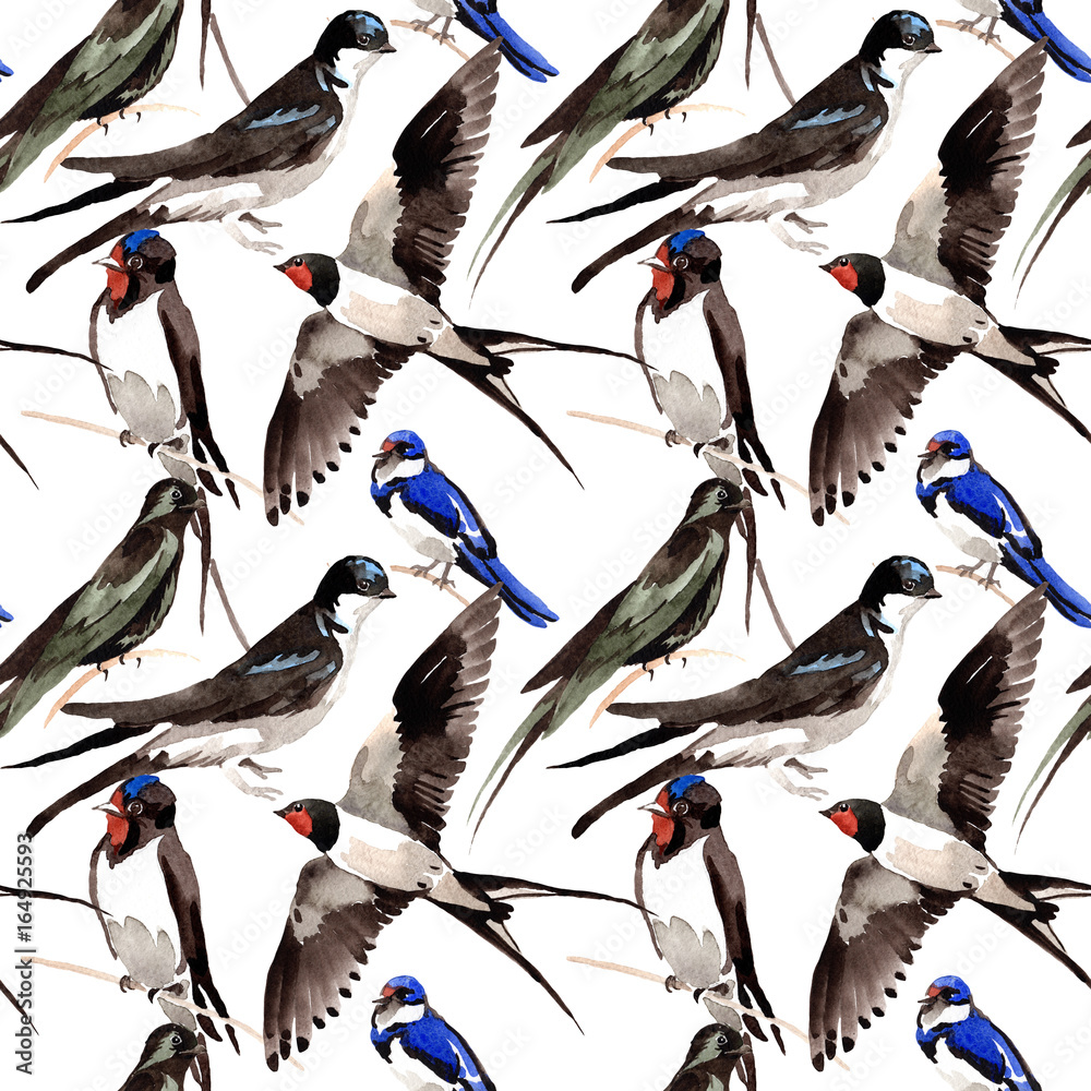 Obraz premium Sky bird Swallows pattern in a wildlife by watercolor style. Wild freedom, bird with a flying wings. Aquarelle bird for background, texture, pattern, frame, border or tattoo.