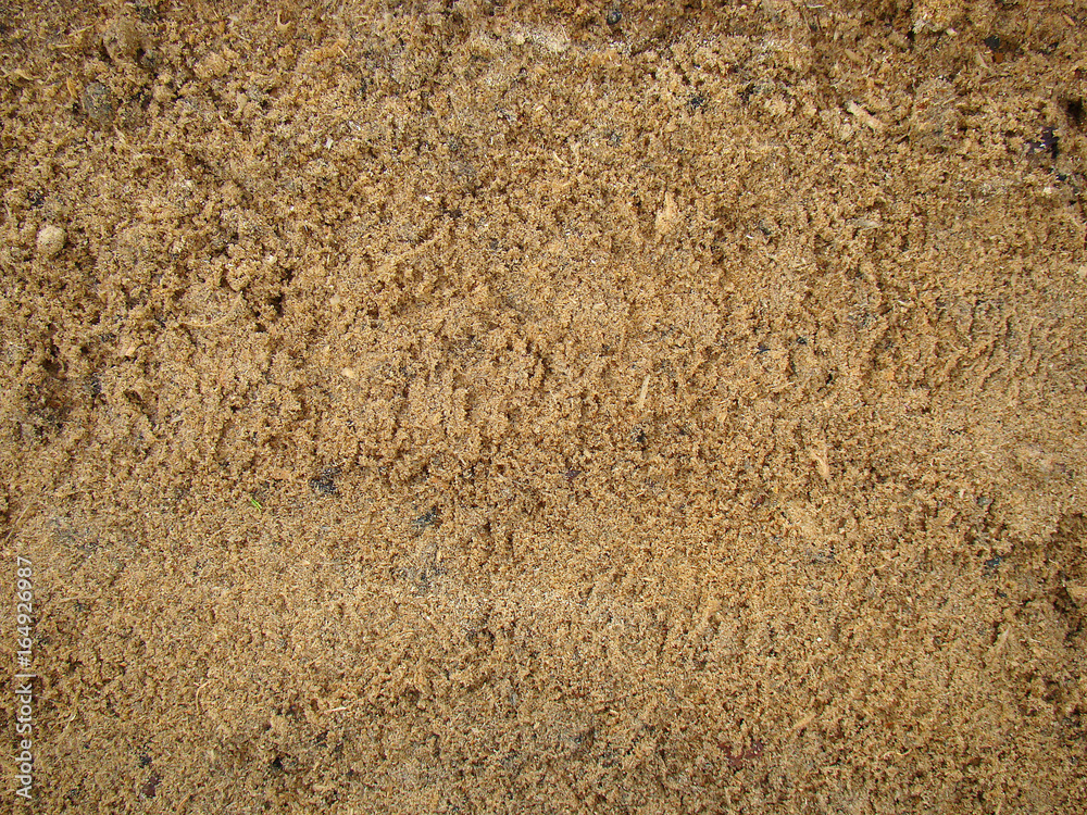 Texture of sawdust close up Texture of sawdust close up