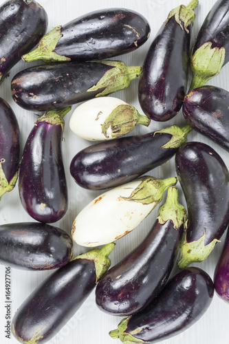 blue and white eggplant