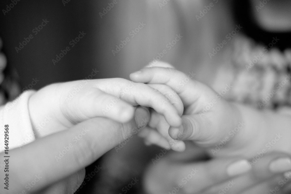 Babies holding each other hands, monochrome, close up Babies holding each other hands, monochrome, close up