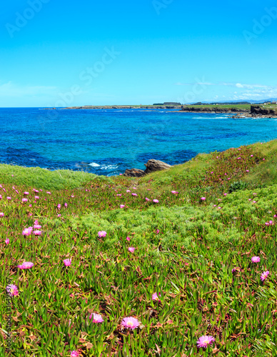 Atlantic blossoming coastline (Spain). © wildman