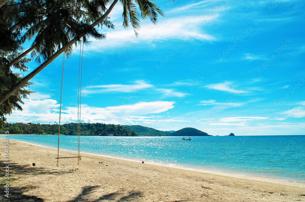 swing on coconut tree with sand beach