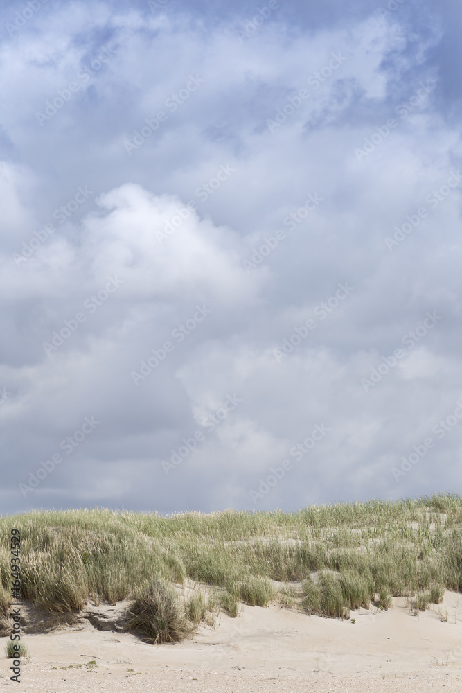 Dünen in Dänemark in unterschiedlicher Ausprägung / Wetterlage | Hintergrundbilder Dünen in Dänemark in unterschiedlicher Ausprägung / Wetterlage | Hintergrundbilder