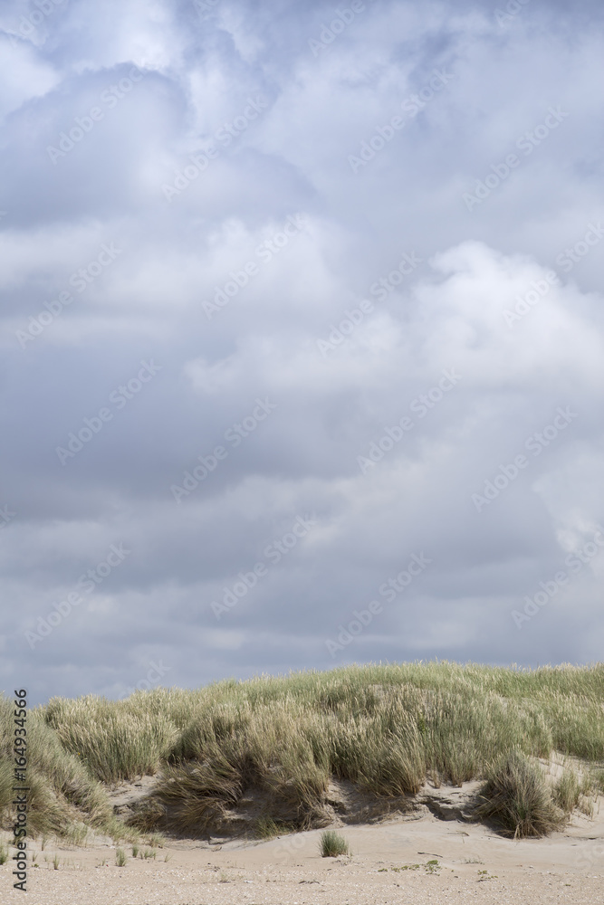 Dünen in Dänemark in unterschiedlicher Ausprägung / Wetterlage | Hintergrundbilder