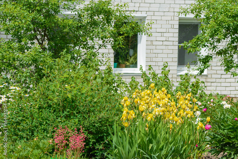 A garden with blooming flowers in front of the windows of a brick house