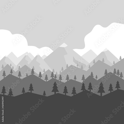 Mountains in gray  trees  forest