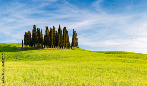 SAN QUIRICO D'ORCIA, TUSCANY ITALY with rolling hills and tuscan cypress trees. Located in Val D'Orcia countryside. photo