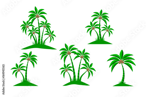 Palm trees isolated on white background. Beautiful vector palm tree set vector illustration