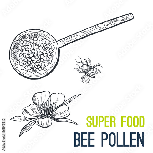 Bee pollen. Super food hand drawn sketch vector