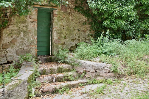 Fototapeta Naklejka Na Ścianę i Meble -  Grüne Tür in einer Mauer