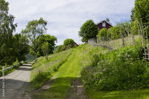 Traditional red, white wooden house in the village, Norway