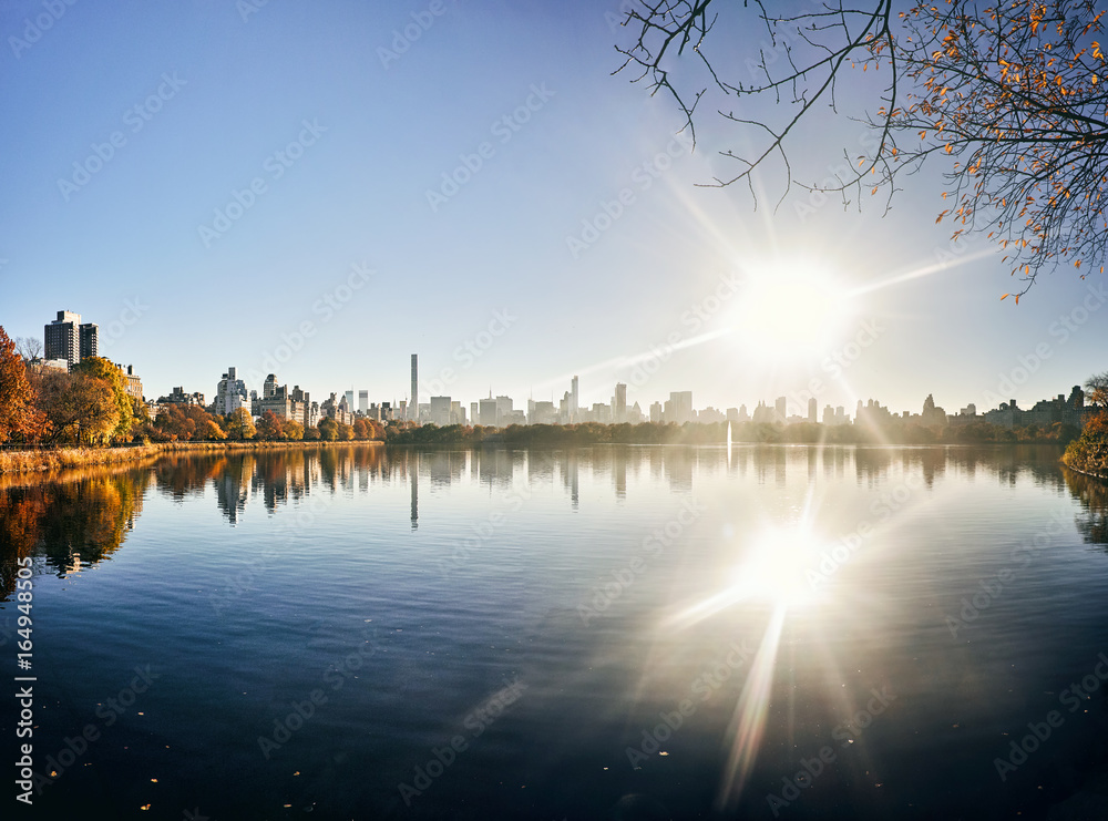 Central Park Skyline