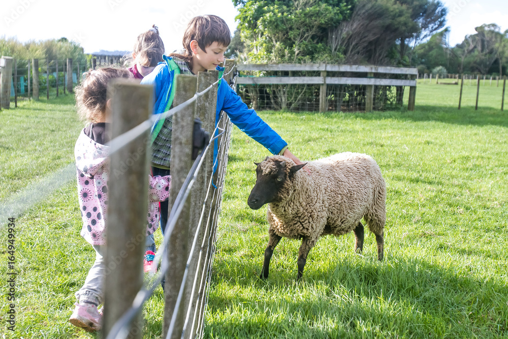 young kids taking care of animals on a farm young kids taking care of animals on a farm