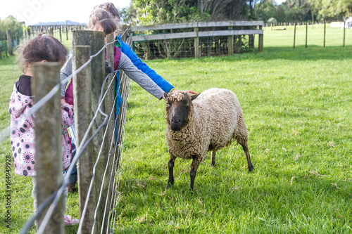 young kids taking care of animals on a farm photo