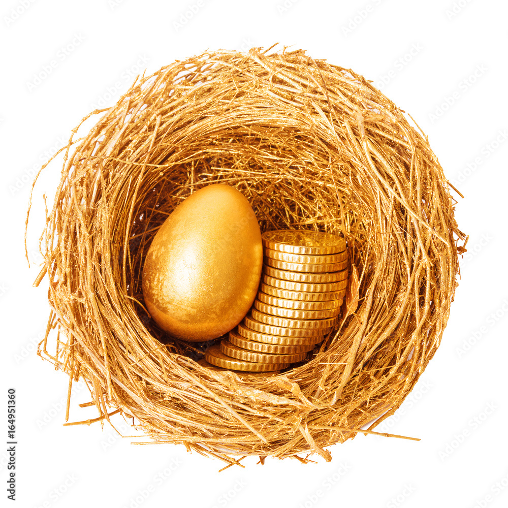 Obraz premium Golden egg