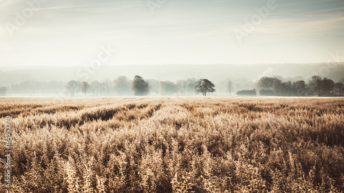 Winter landscape in Bramsche