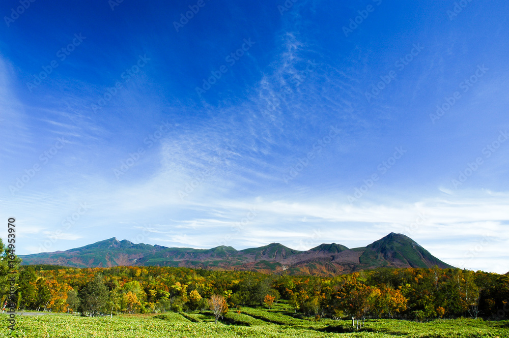 Fototapeta premium 北海道・秋の知床