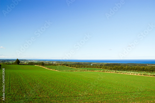北海道・斜里町の畑とオホーツク海 photo
