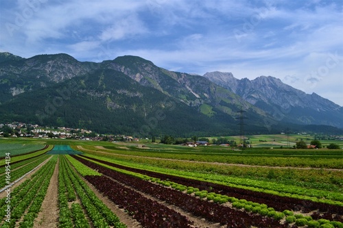 Berglandschaft mit Feldern