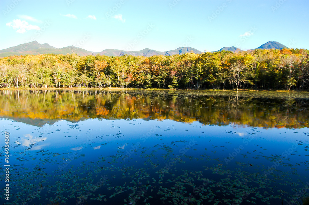 北海道・秋の知床五湖 北海道・秋の知床五湖