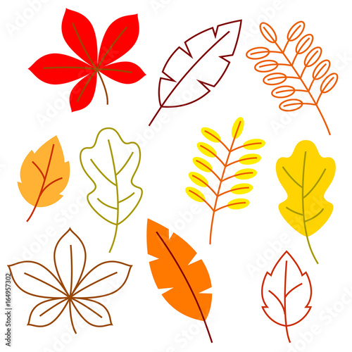 Set of stylized autumn foliage. Falling leaves in simple style