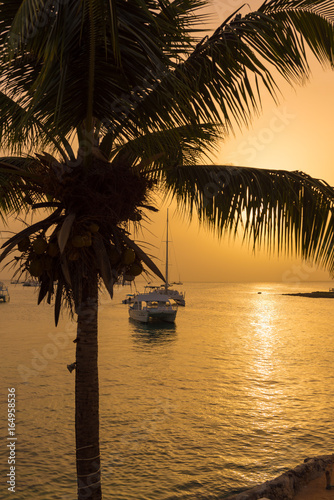 View of the bay at sunset in Bayahibe, La Altagracia, Dominican Republic. Copy space for text. Vertical. © ggfoto