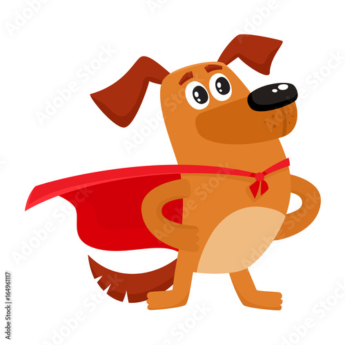 Cute brown funny dog, puppy character in red cape standing as hero, superhero, cartoon vector illustration isolated on white background. Funny dog, puppy character in hero, superhero red cape